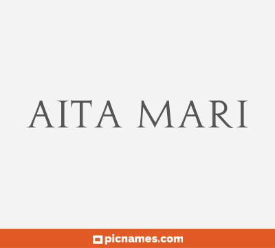 Aita Mari